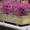 UV-Resistant Artificial Flowers: 10 Bundles for Indoor/Outdoor Decor